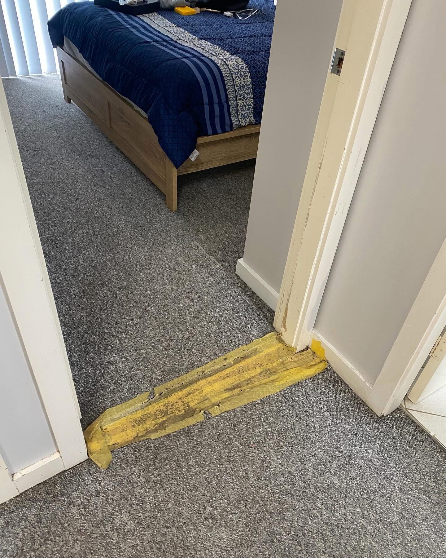 Carpet to Vinyl Plank — Two-Storey Home Mayfield — 8