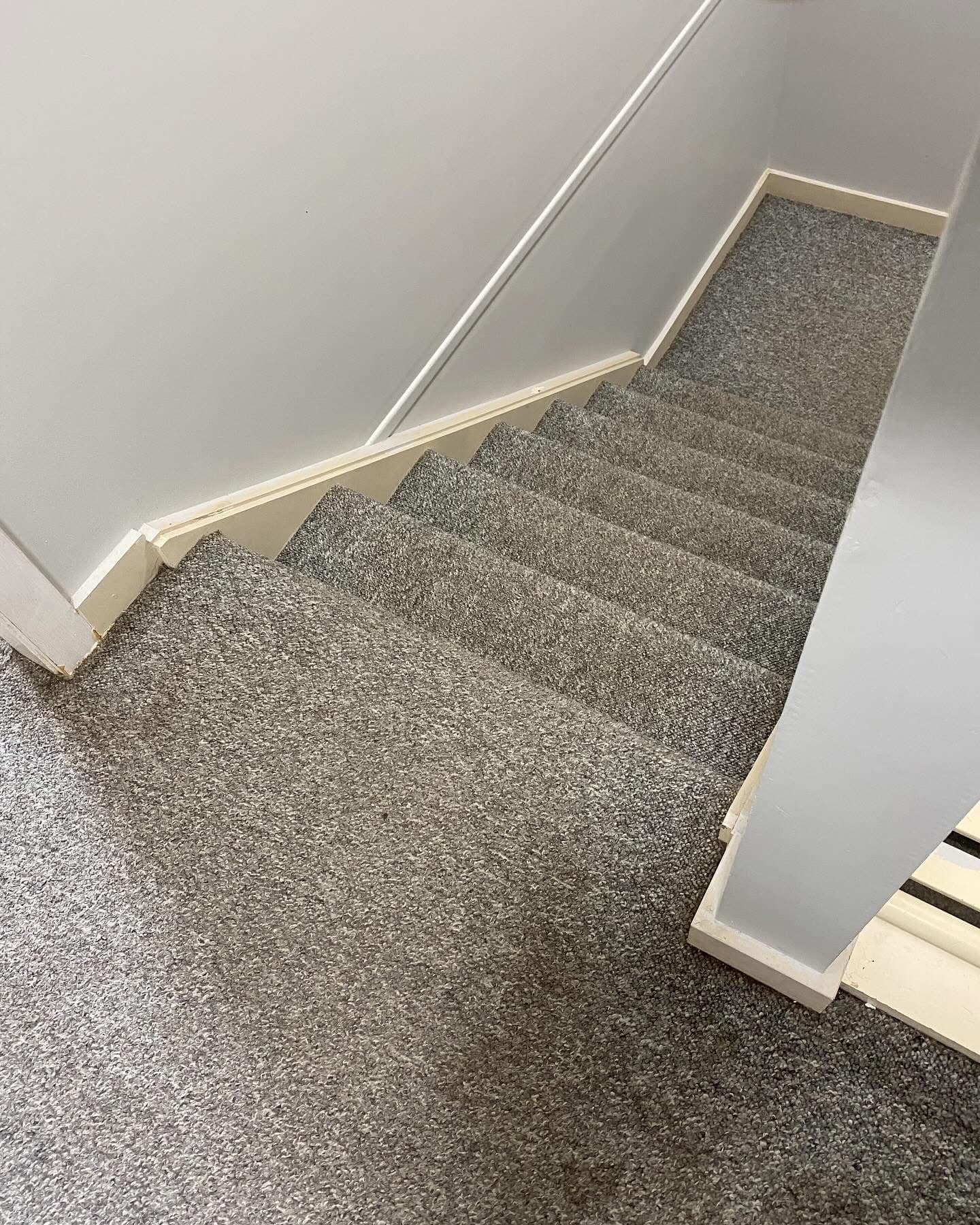 Carpet to Vinyl Plank — Two-Storey Home Mayfield — 7