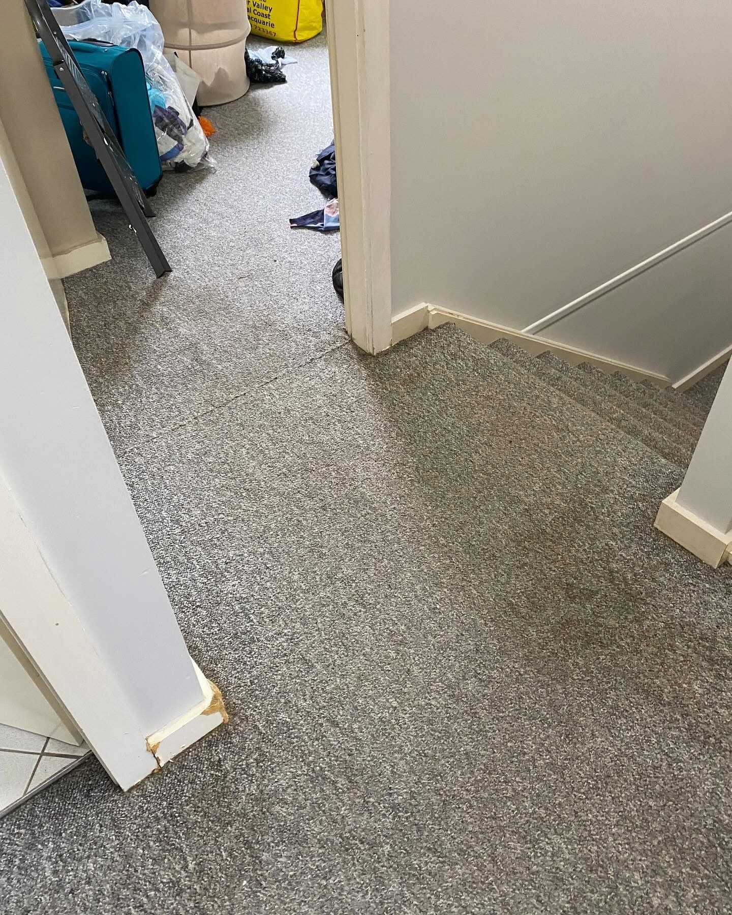 Carpet to Vinyl Plank — Two-Storey Home Mayfield — 9