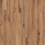 Daintree Brown