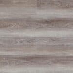 Coastal Sheoak