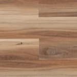 Atherton Spotted Gum