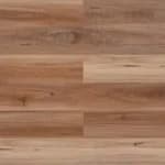 Western Spotted Gum
