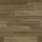 Clove Spotted Gum