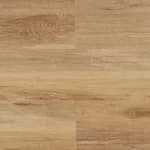 Ornate Blackbutt