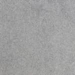 Elanus Grey
