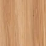 Coastal Blackbutt